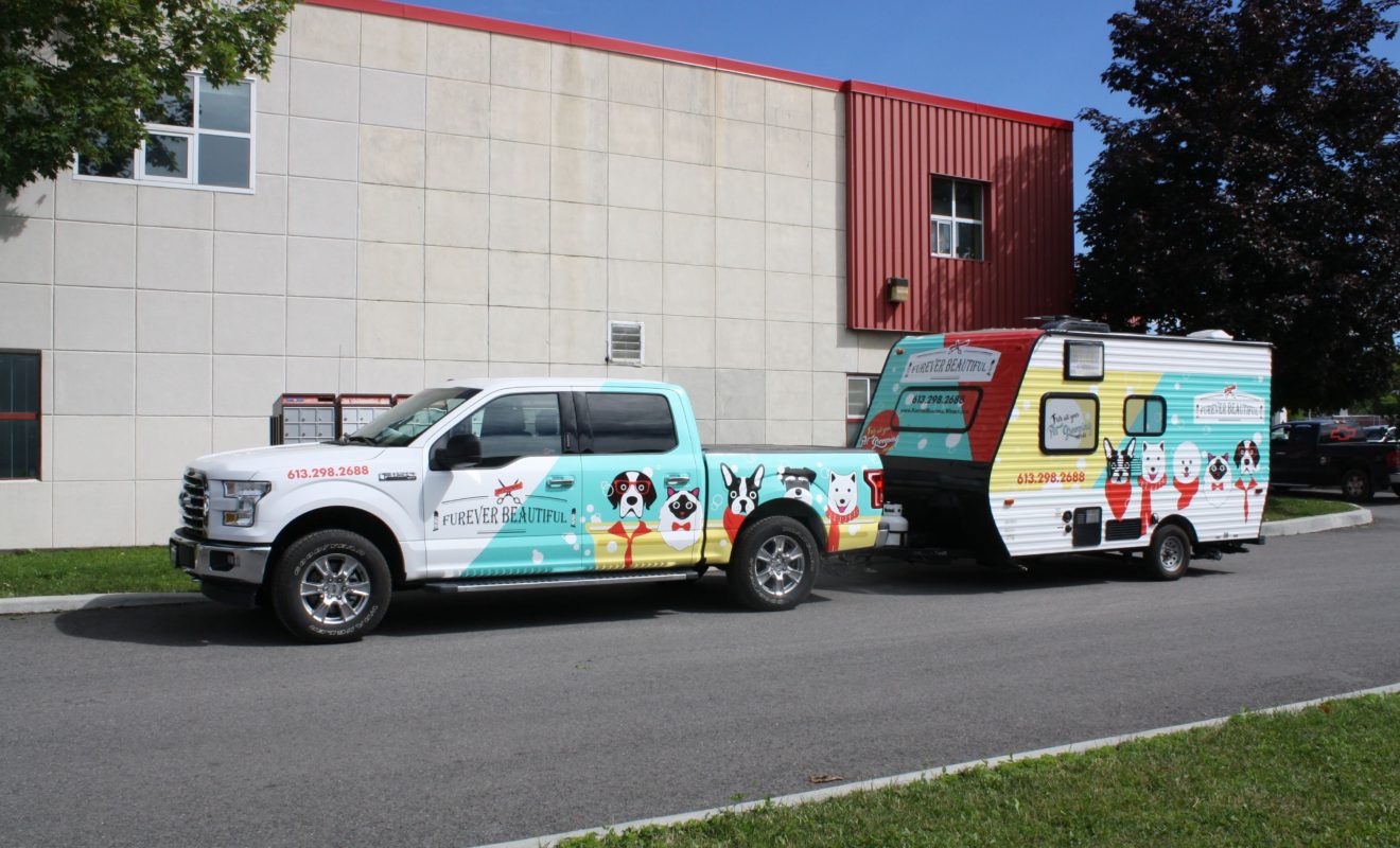 FUREVER BEAUTIFUL WRAP 3