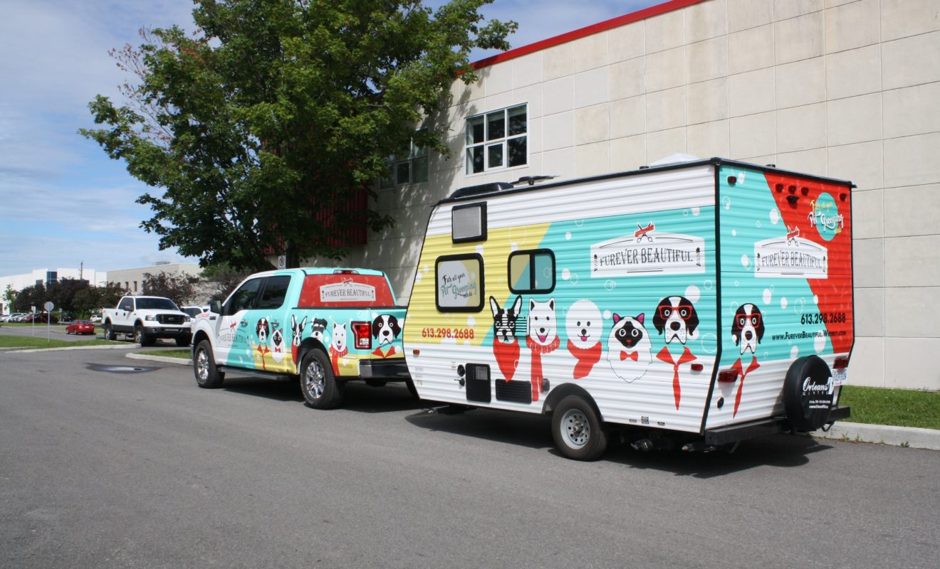 FUREVER BEAUTIFUL WRAP 4