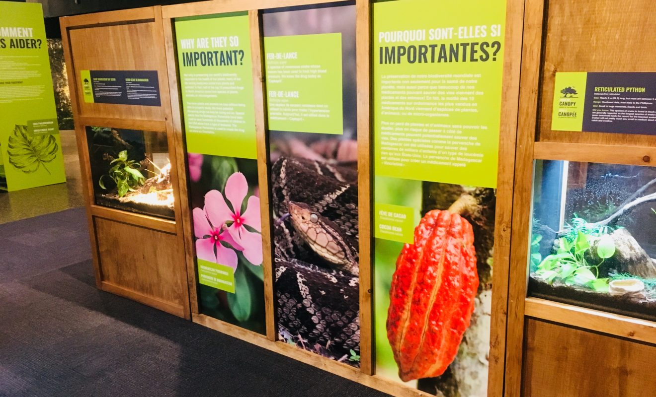 RAYS REPTILES EXHIBIT 10