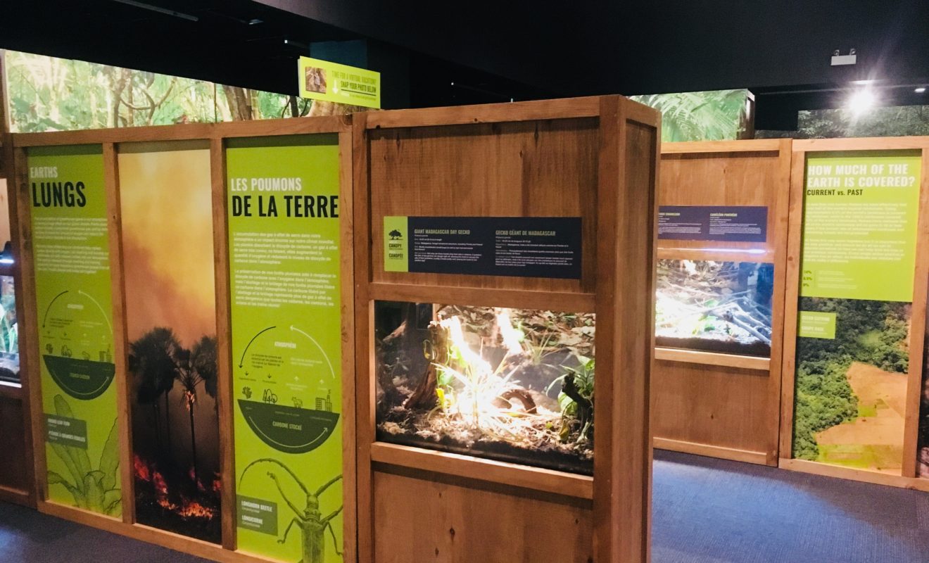 RAYS REPTILES EXHIBIT 111