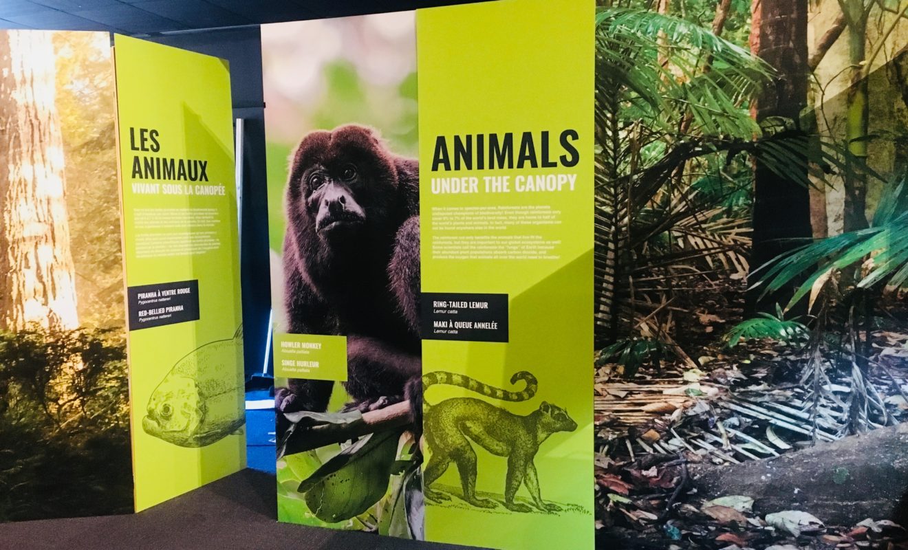 RAYS REPTILES EXHIBIT 12