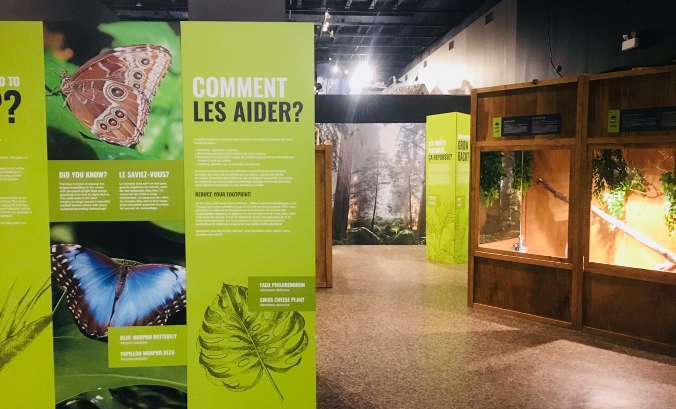 RAYS REPTILES EXHIBIT 13