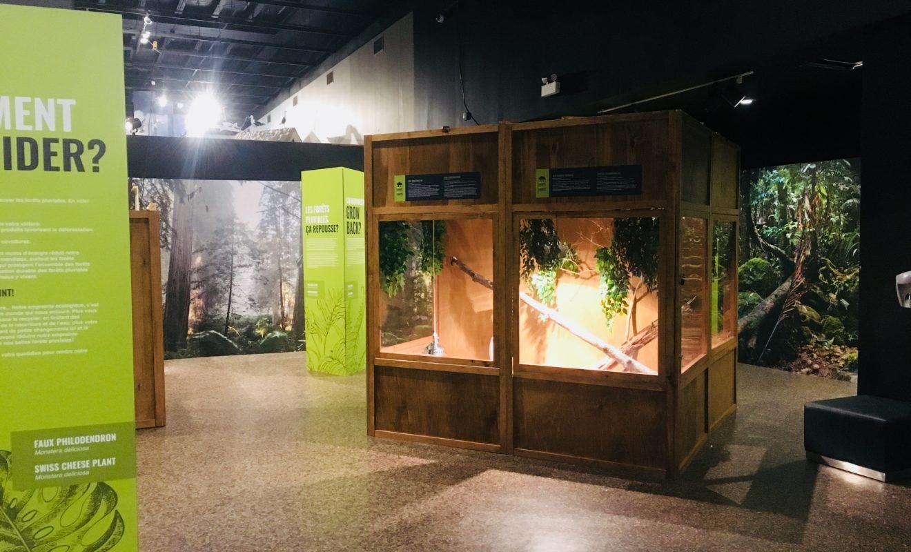 RAYS REPTILES EXHIBIT 14