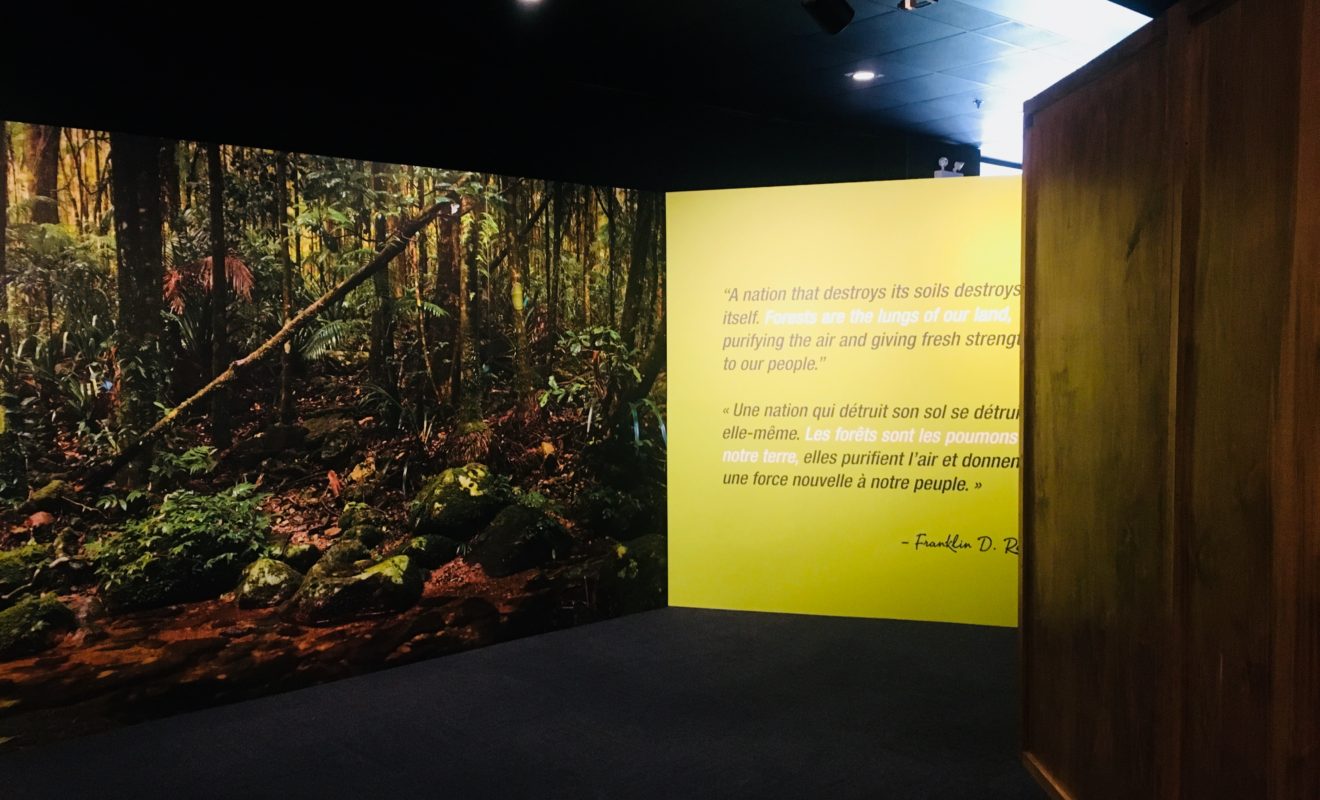 RAYS REPTILES EXHIBIT 15