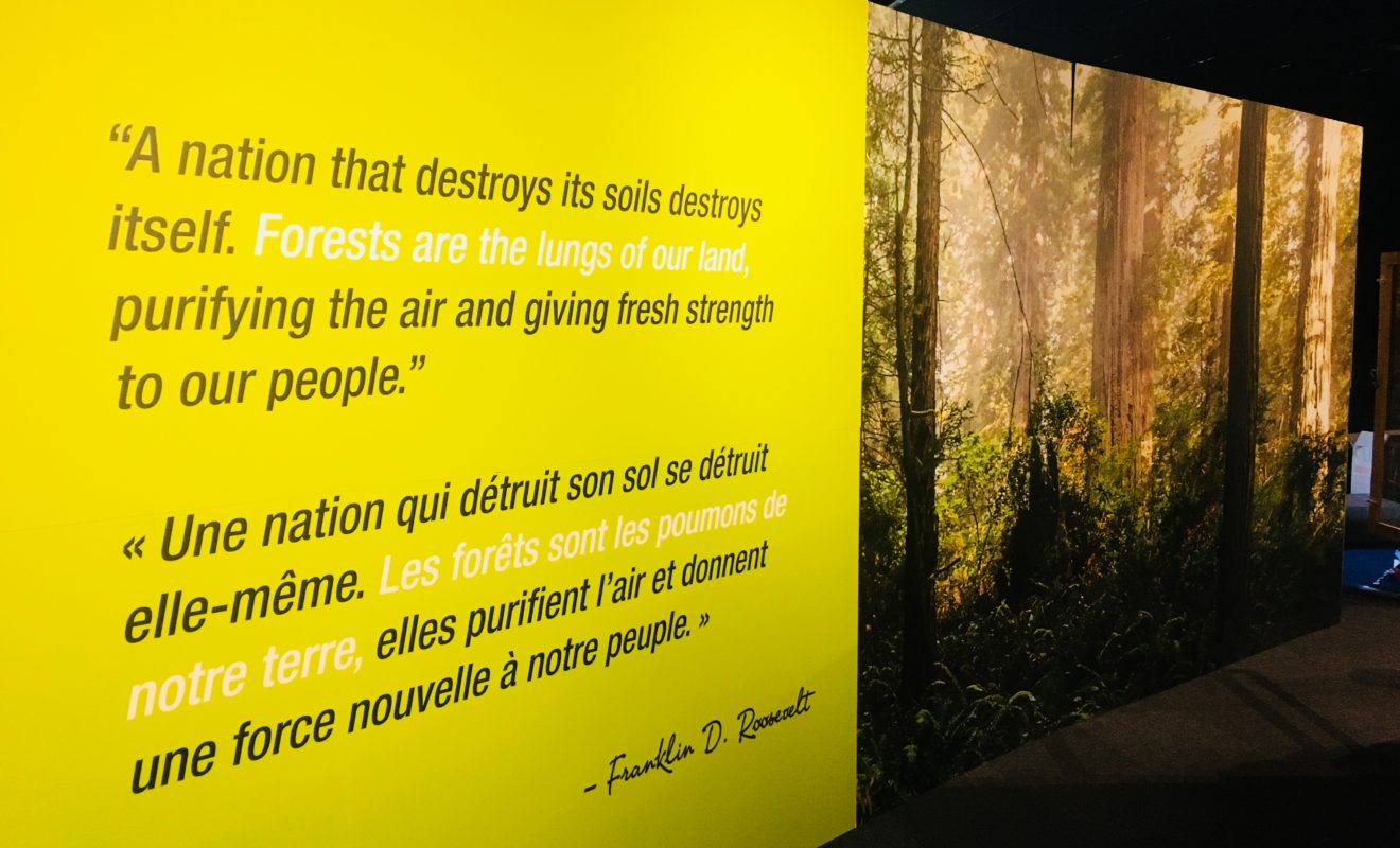 RAYS REPTILES EXHIBIT 16