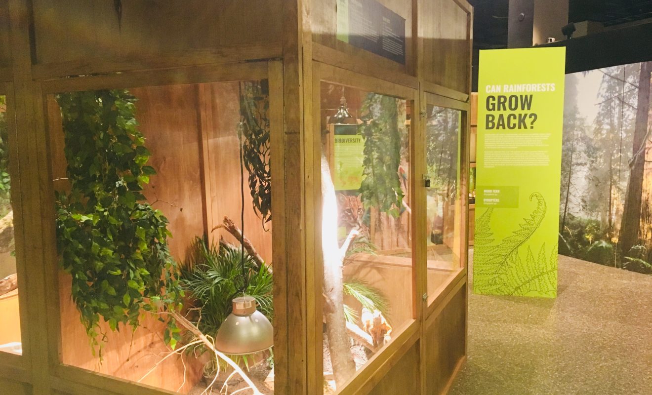 RAYS REPTILES EXHIBIT 17