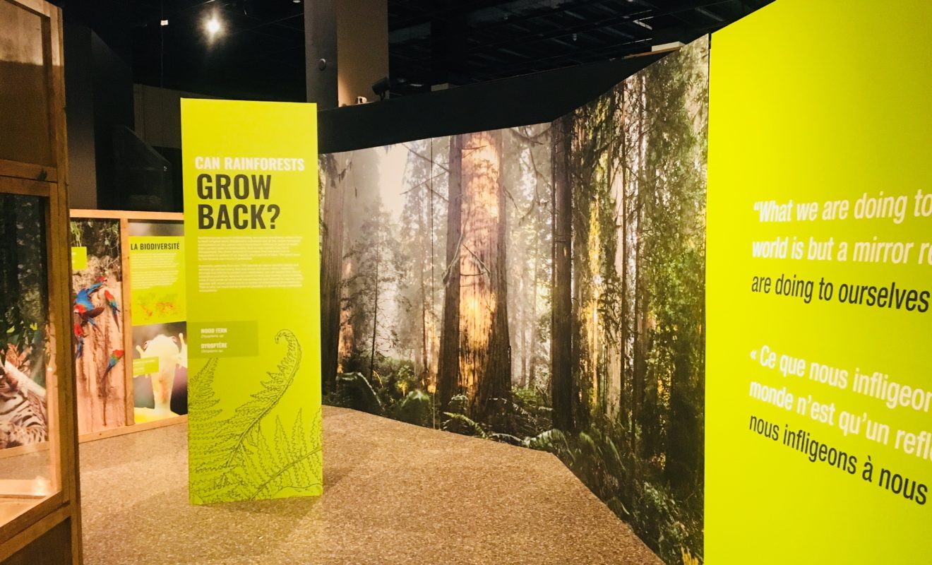 RAYS REPTILES EXHIBIT 18