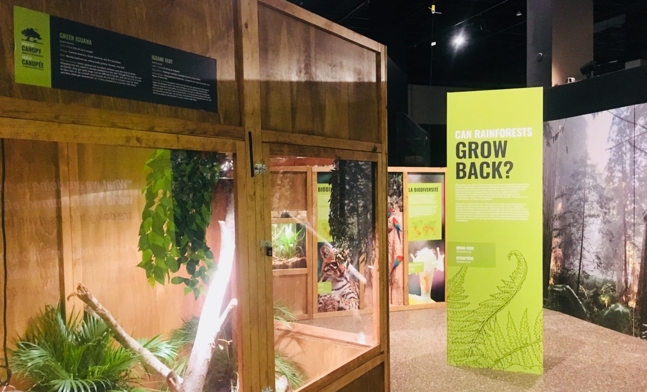 RAYS REPTILES EXHIBIT 19