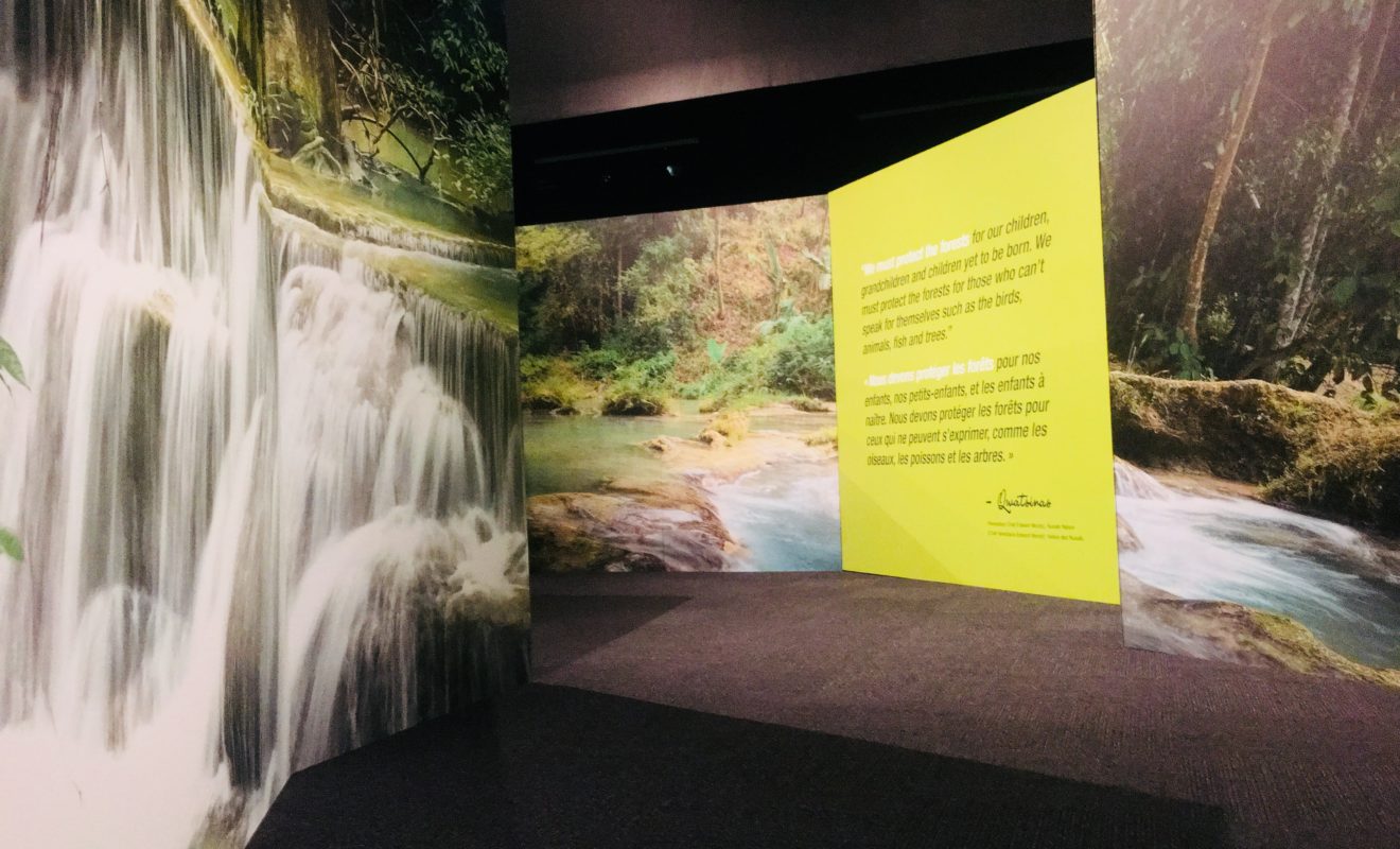 RAYS REPTILES EXHIBIT 2