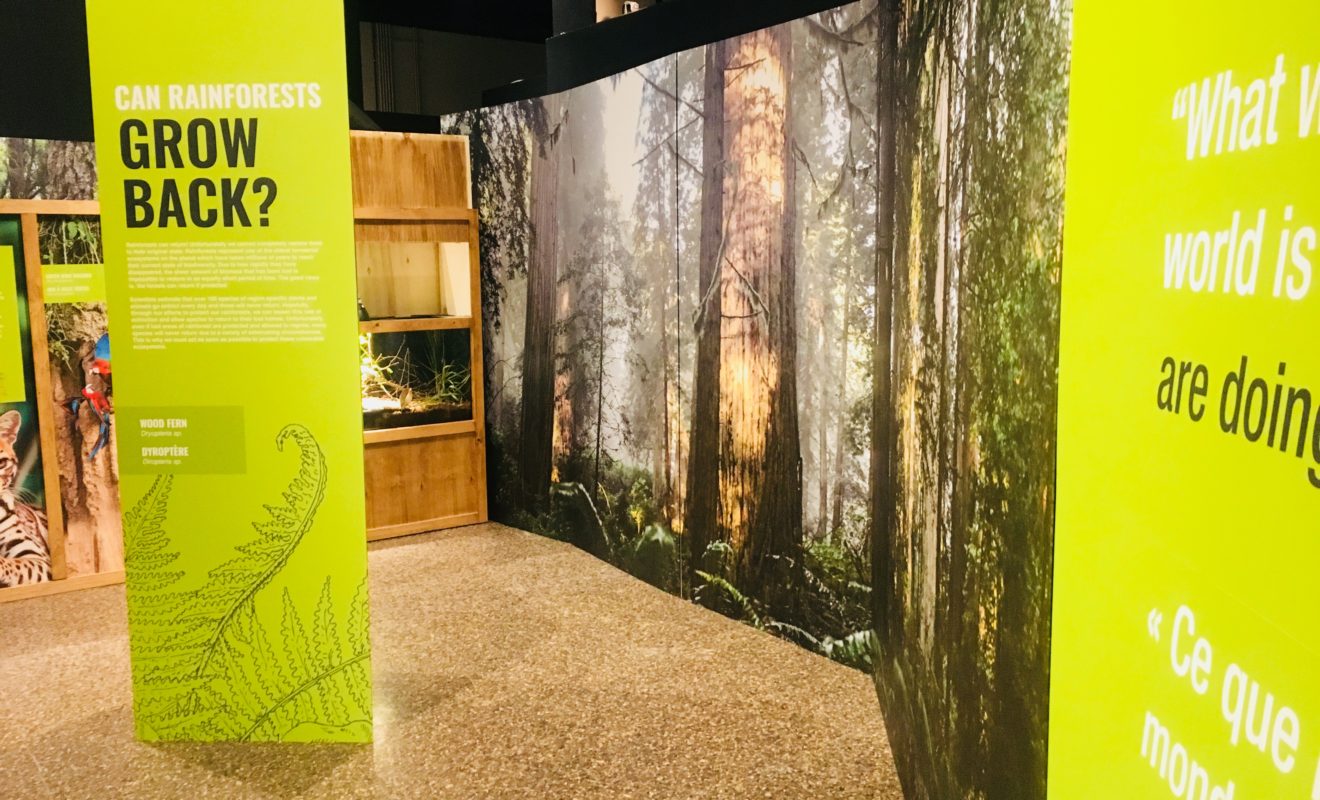 RAYS REPTILES EXHIBIT 20