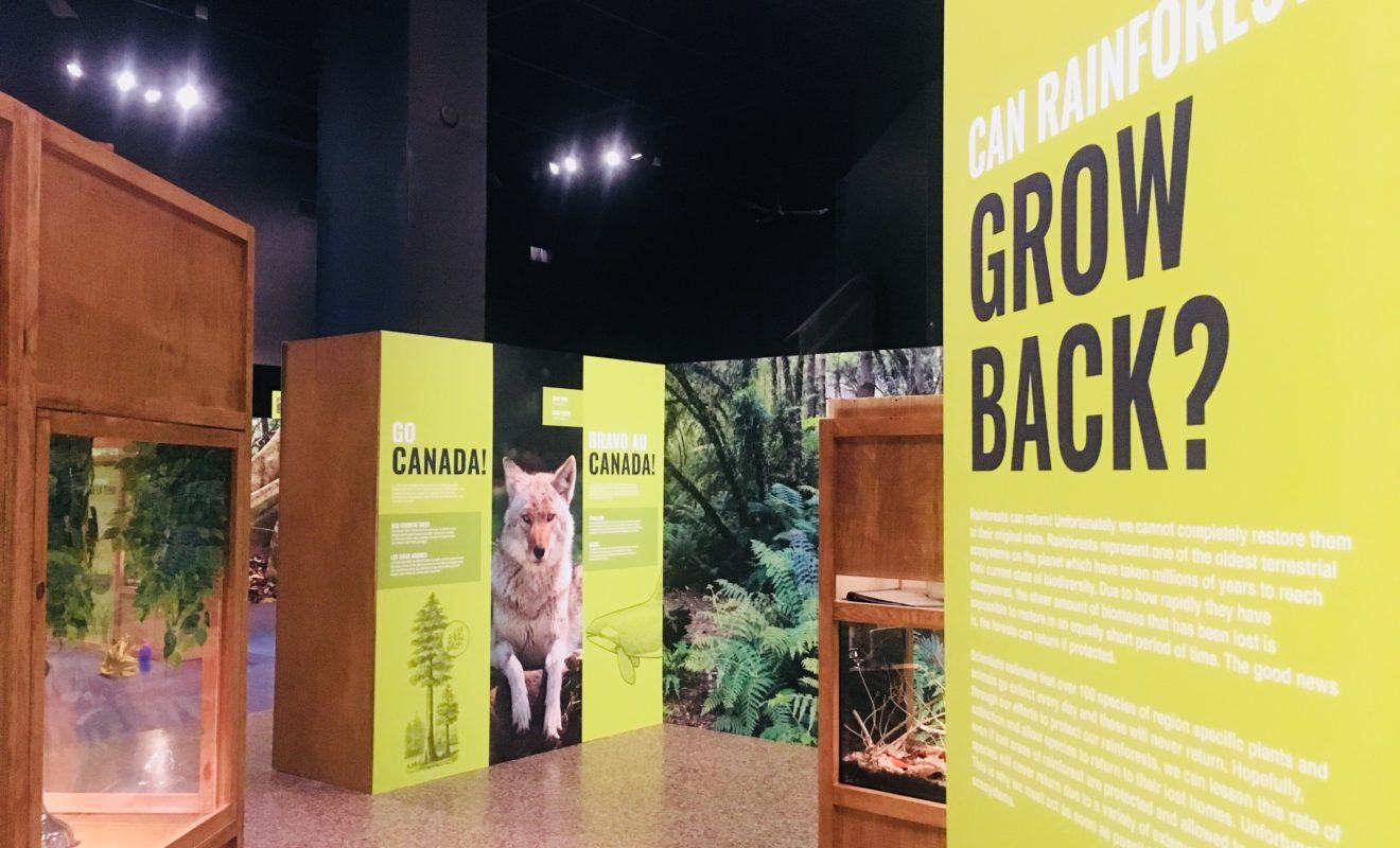 RAYS REPTILES EXHIBIT 21