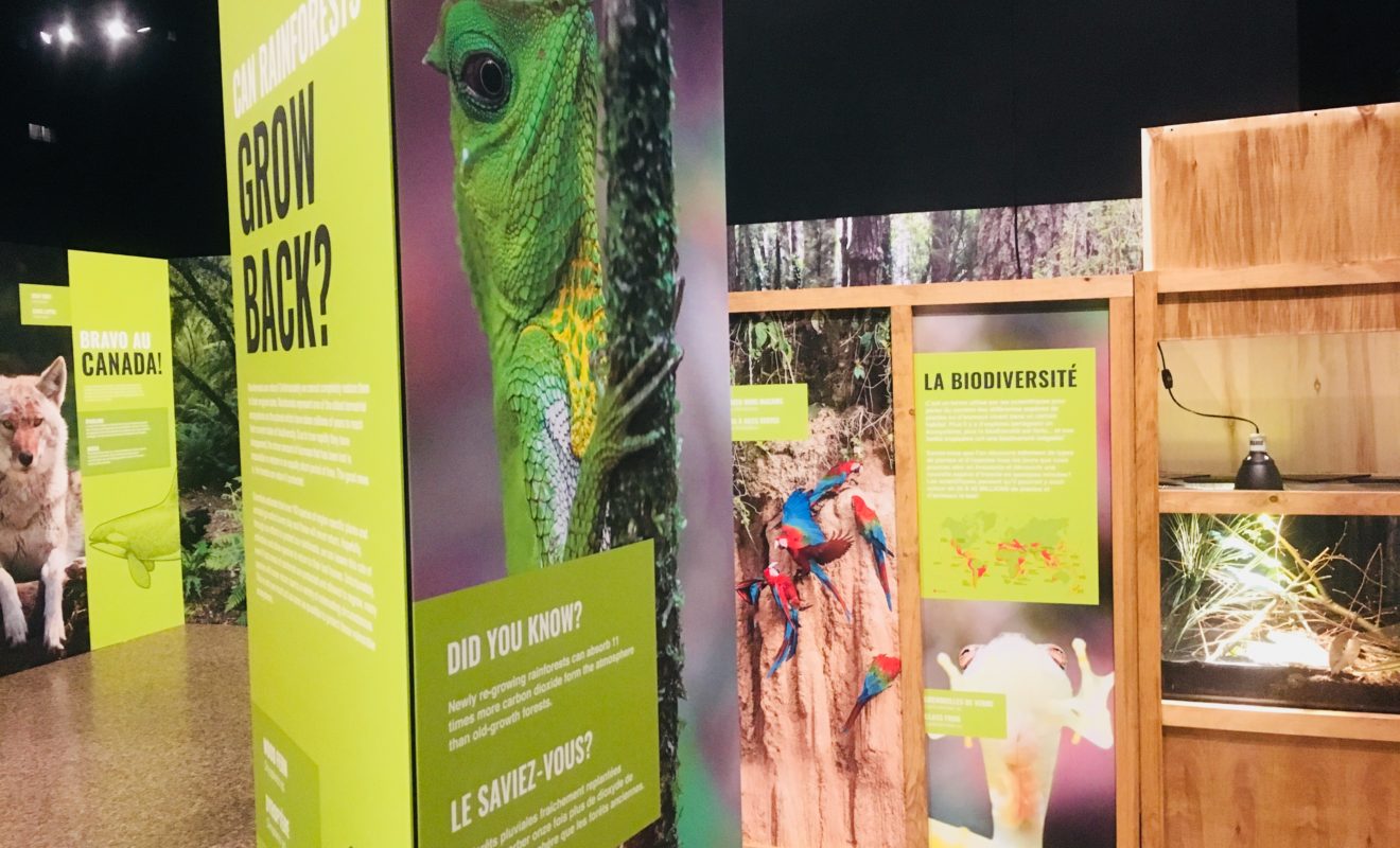 RAYS REPTILES EXHIBIT 22