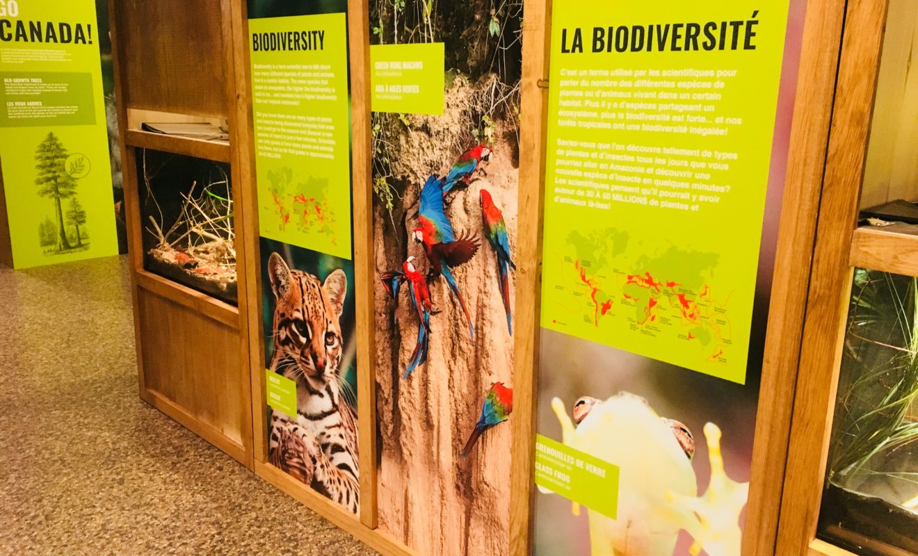 RAYS REPTILES EXHIBIT 23