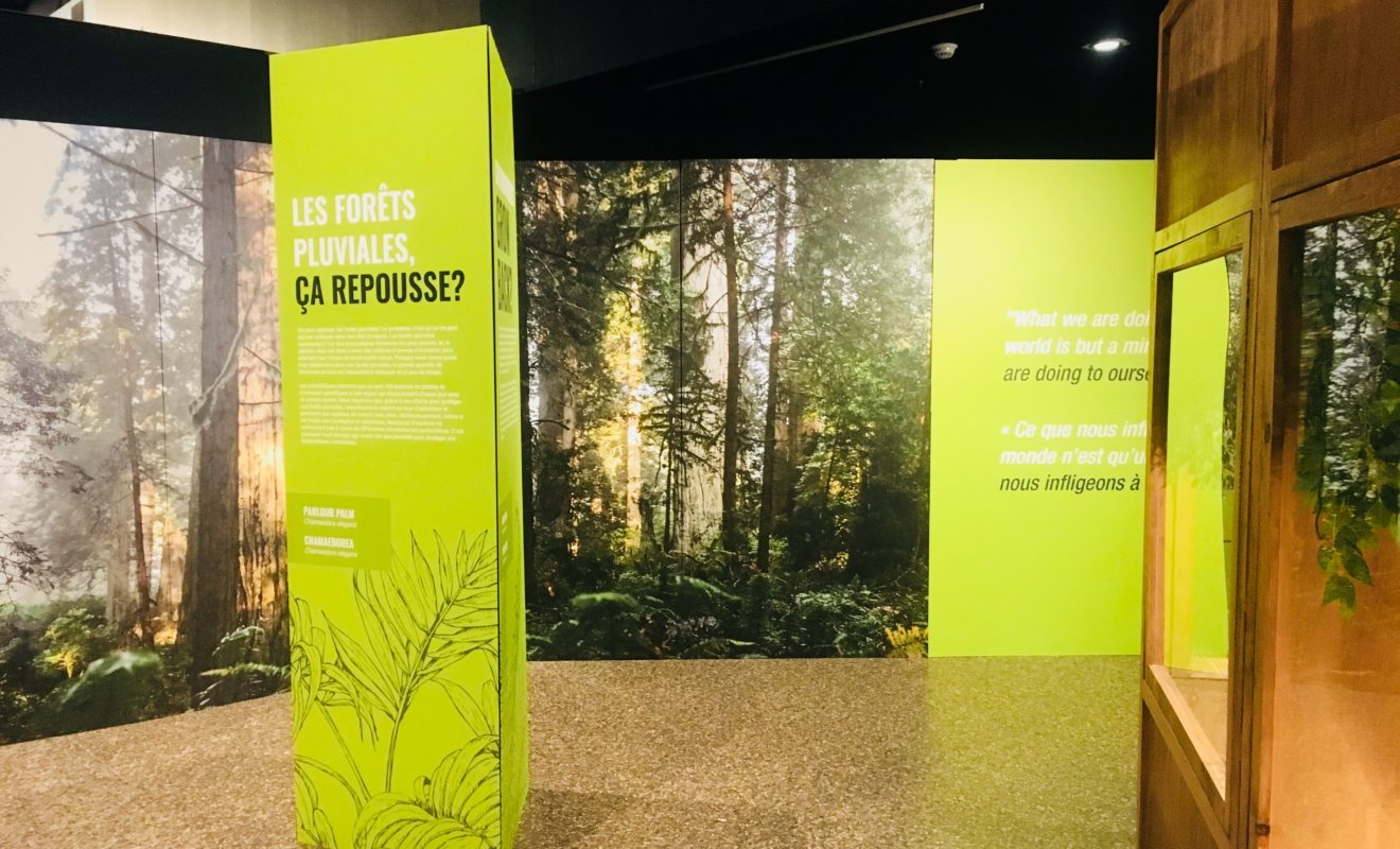 RAYS REPTILES EXHIBIT 24