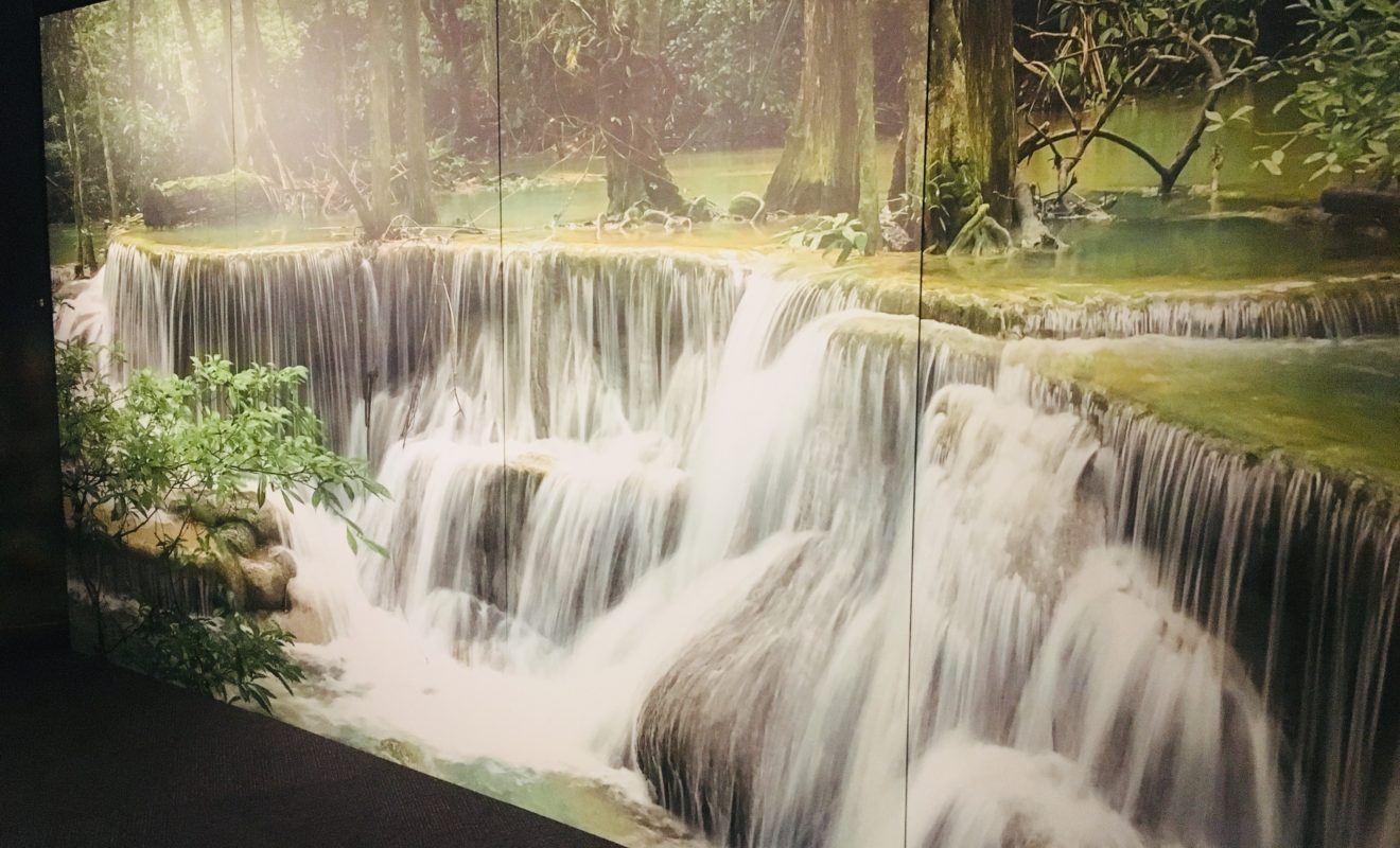 RAYS REPTILES EXHIBIT 3