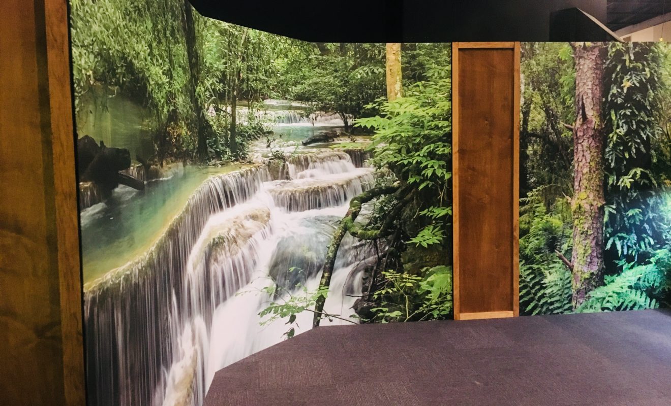 RAYS REPTILES EXHIBIT 4