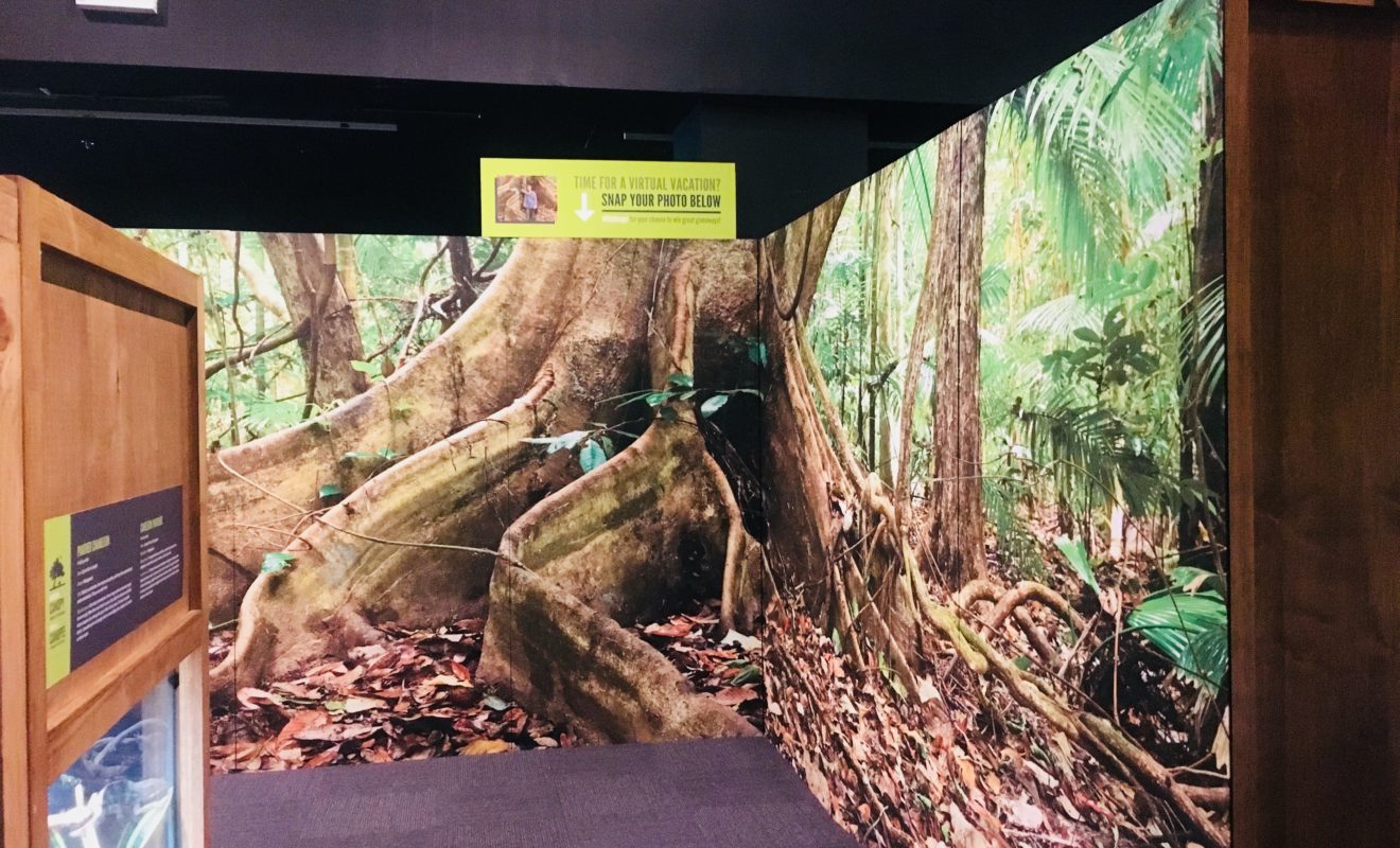 RAYS REPTILES EXHIBIT 5