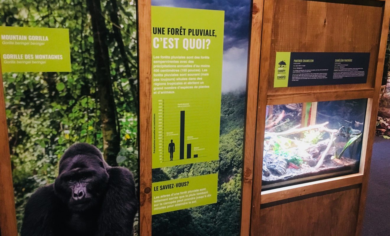 RAYS REPTILES EXHIBIT 6