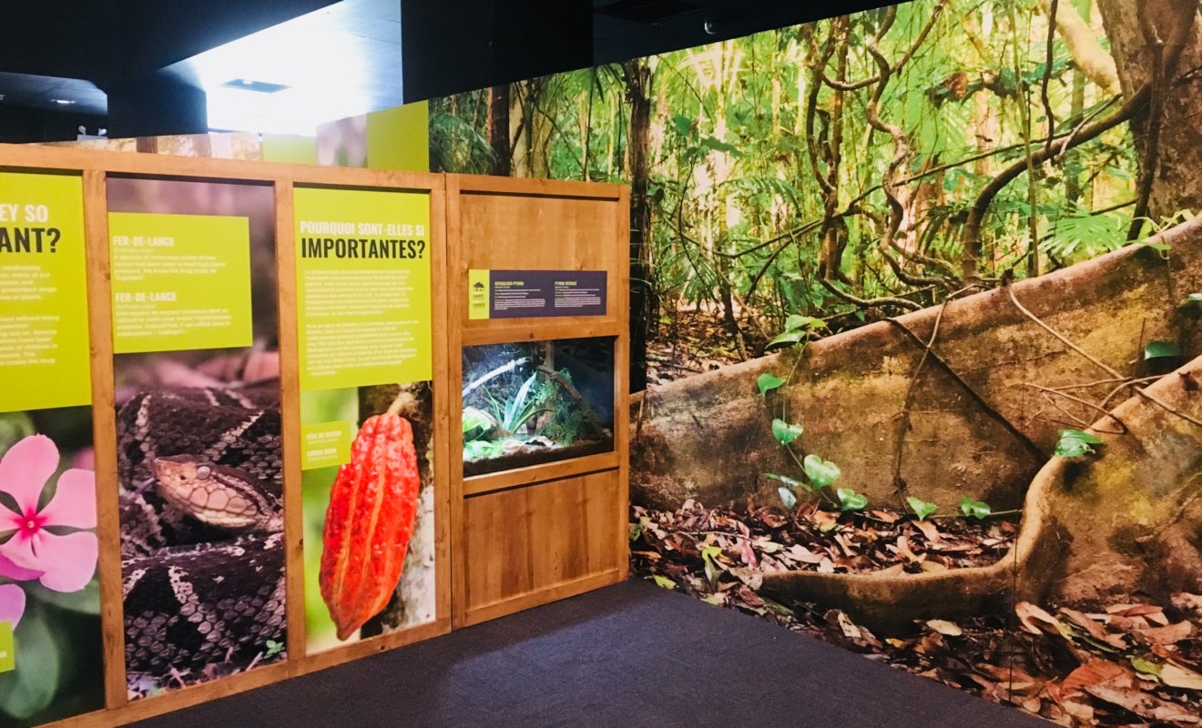 RAYS REPTILES EXHIBIT 7