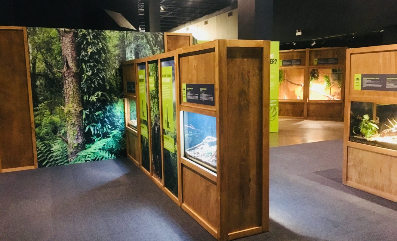 RAYS REPTILES EXHIBIT 8