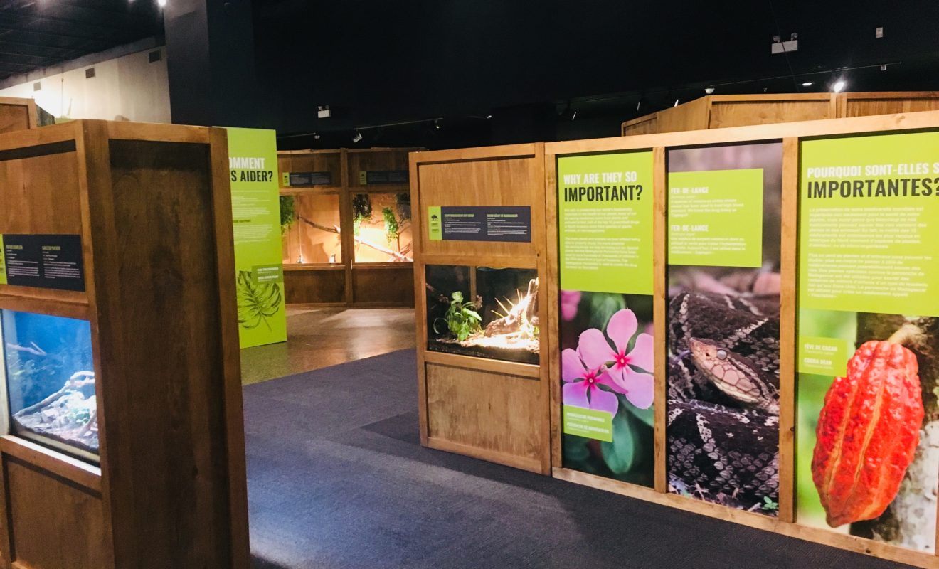 RAYS REPTILES EXHIBIT 9