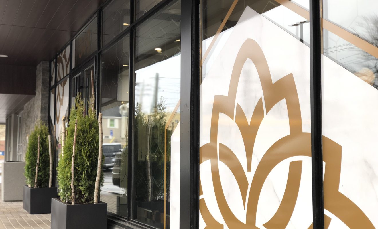 ottawa skin care clinic window graphics5