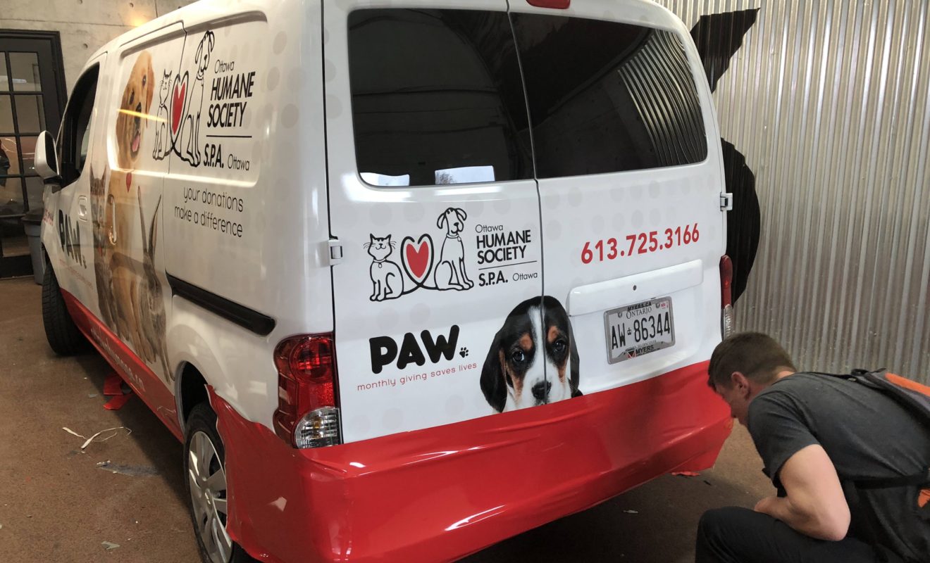 paw_van_wrap2