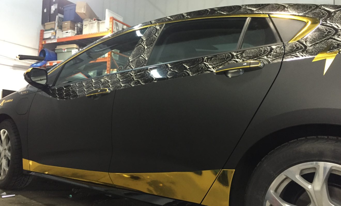 rays reptiles volt wrap 10