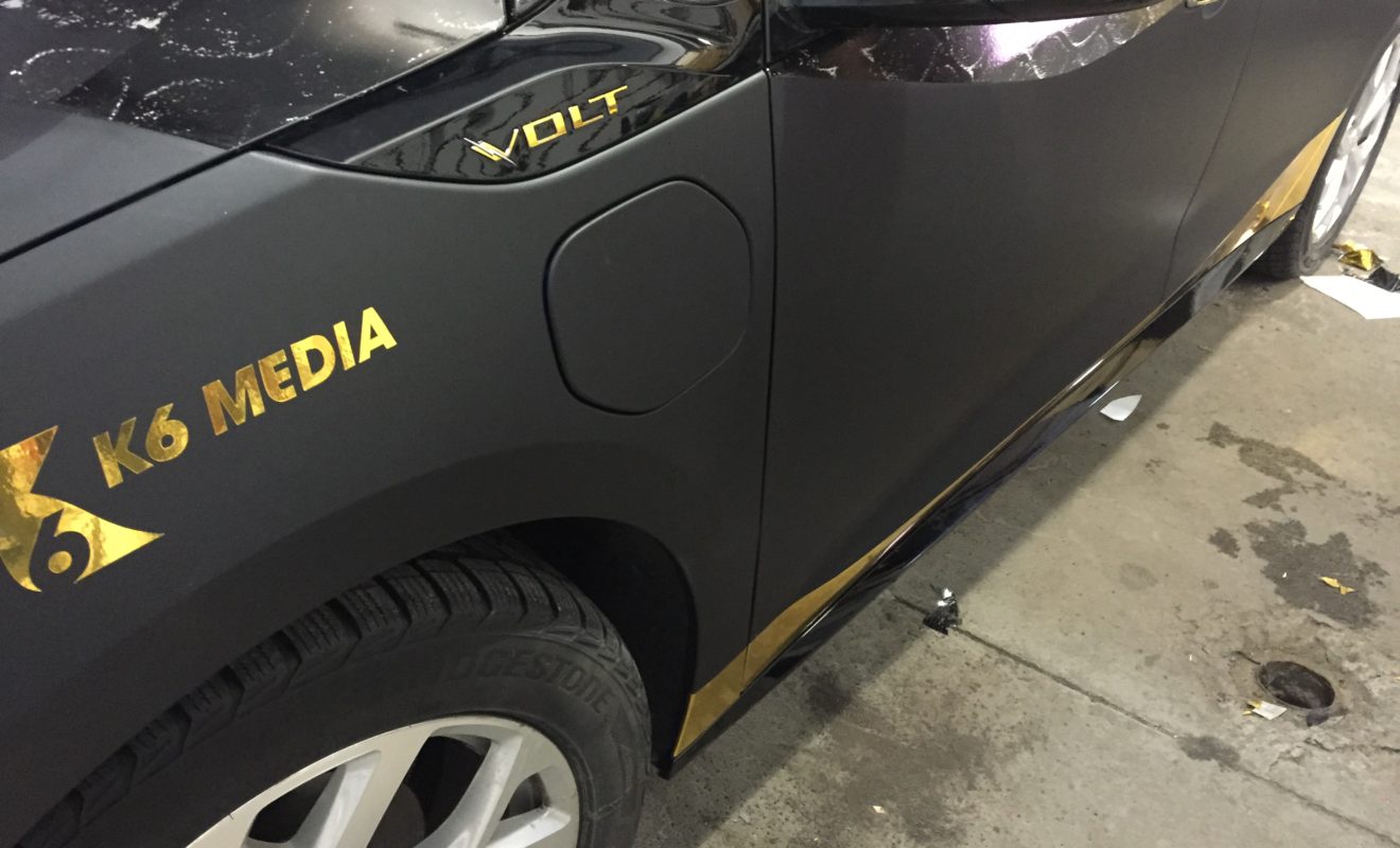 rays reptiles volt wrap 11