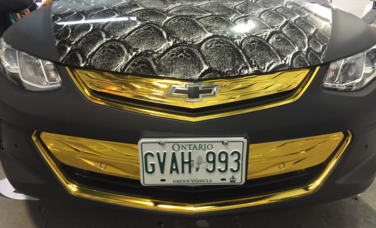 rays reptiles volt wrap 12