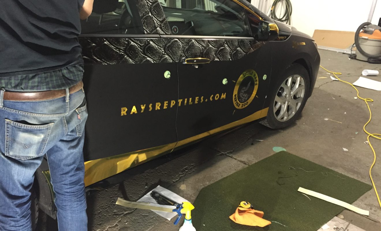 rays reptiles volt wrap 13