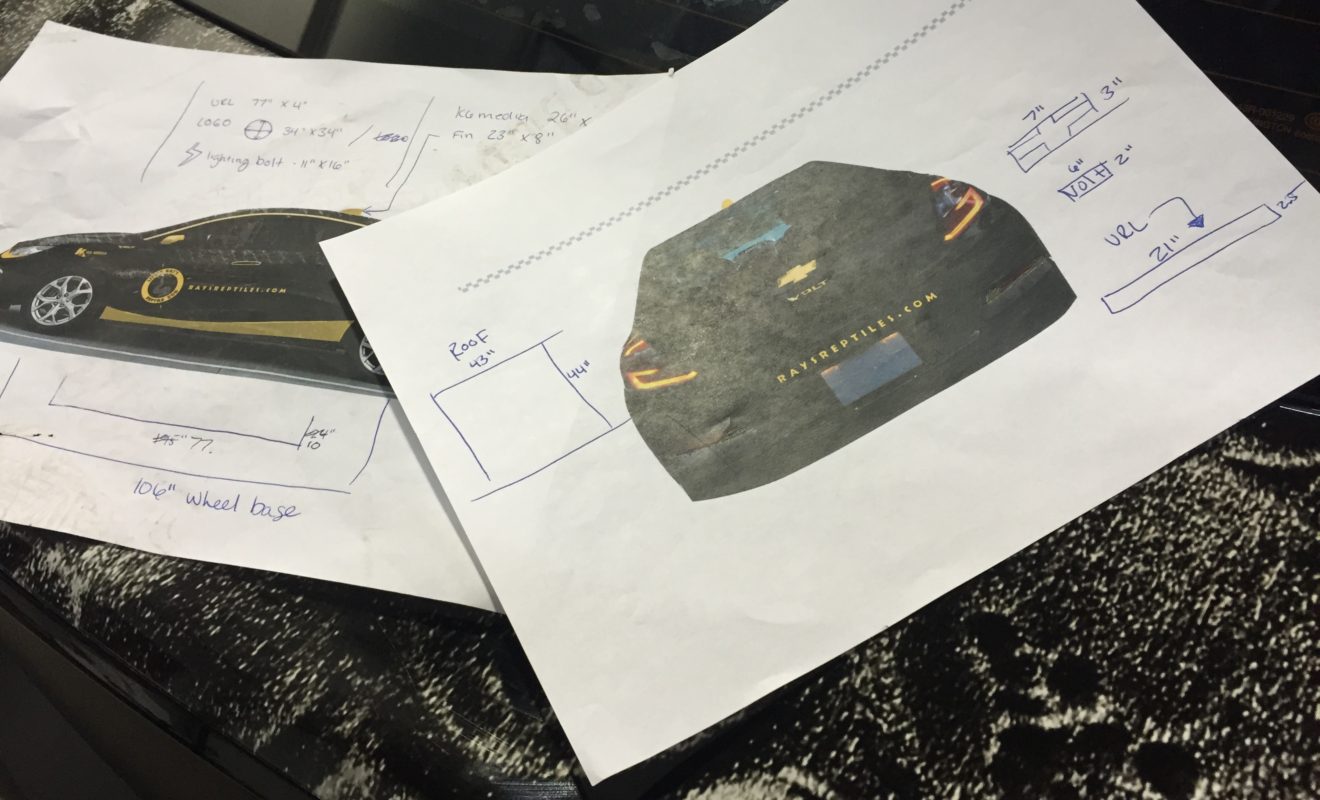 rays reptiles volt wrap 14