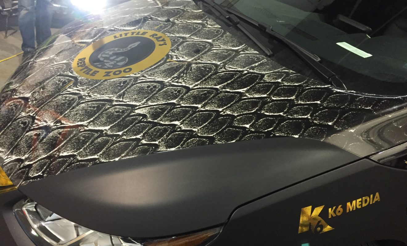 rays reptiles volt wrap 17