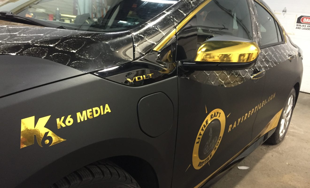 rays reptiles volt wrap 18