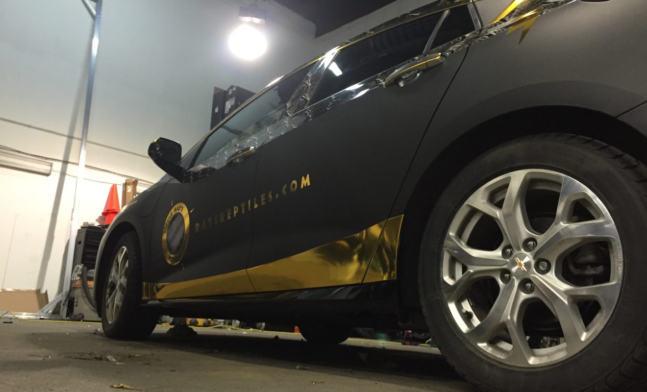 rays reptiles volt wrap 19