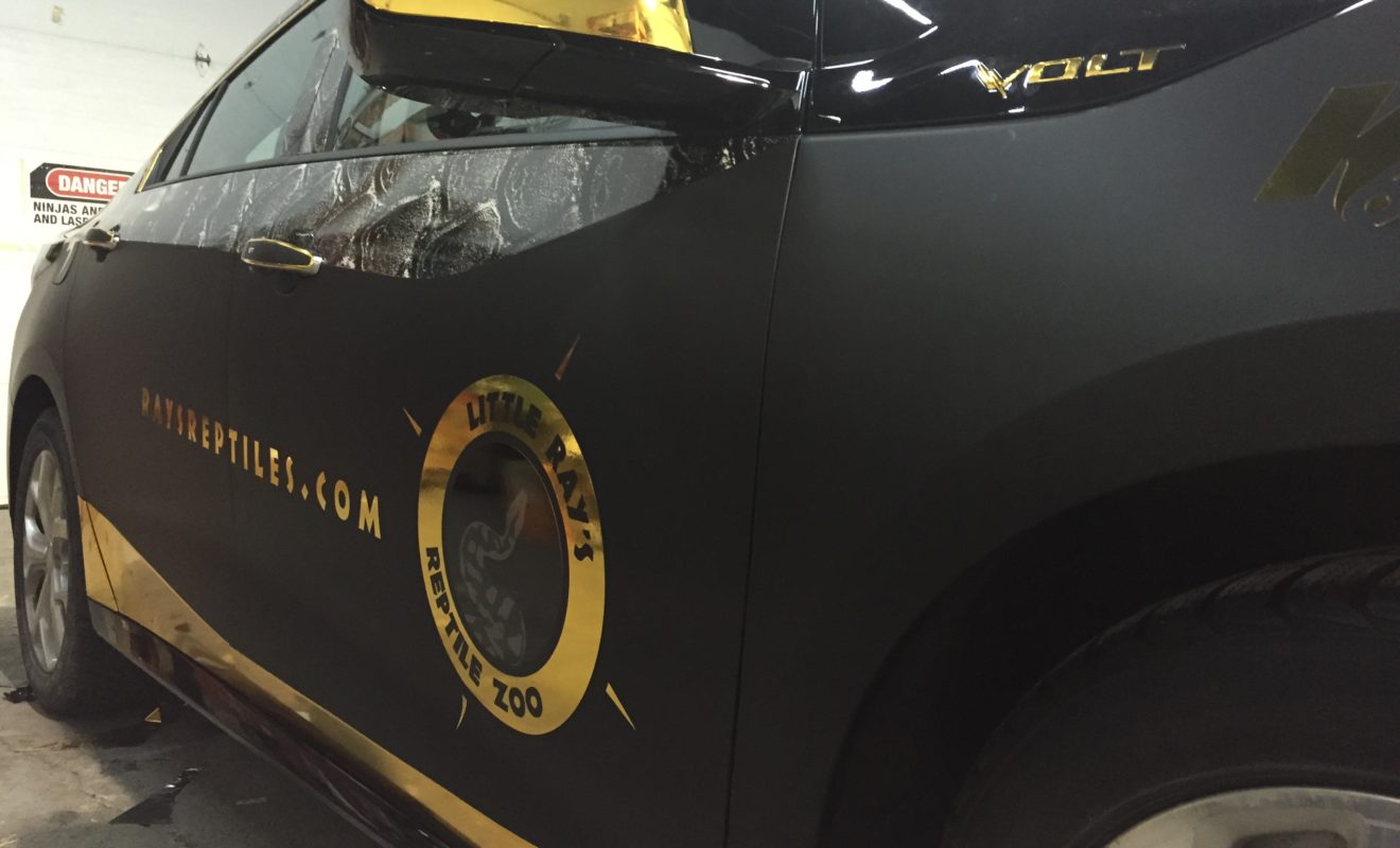 rays reptiles volt wrap 20