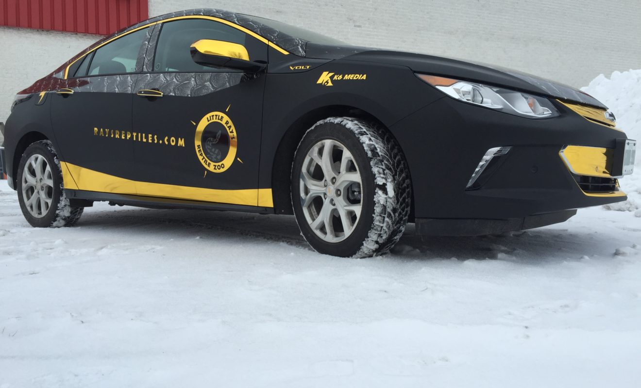rays reptiles volt wrap 21