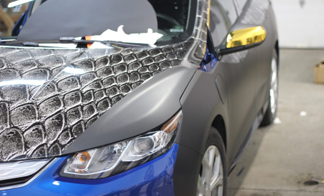 rays reptiles volt wrap 3