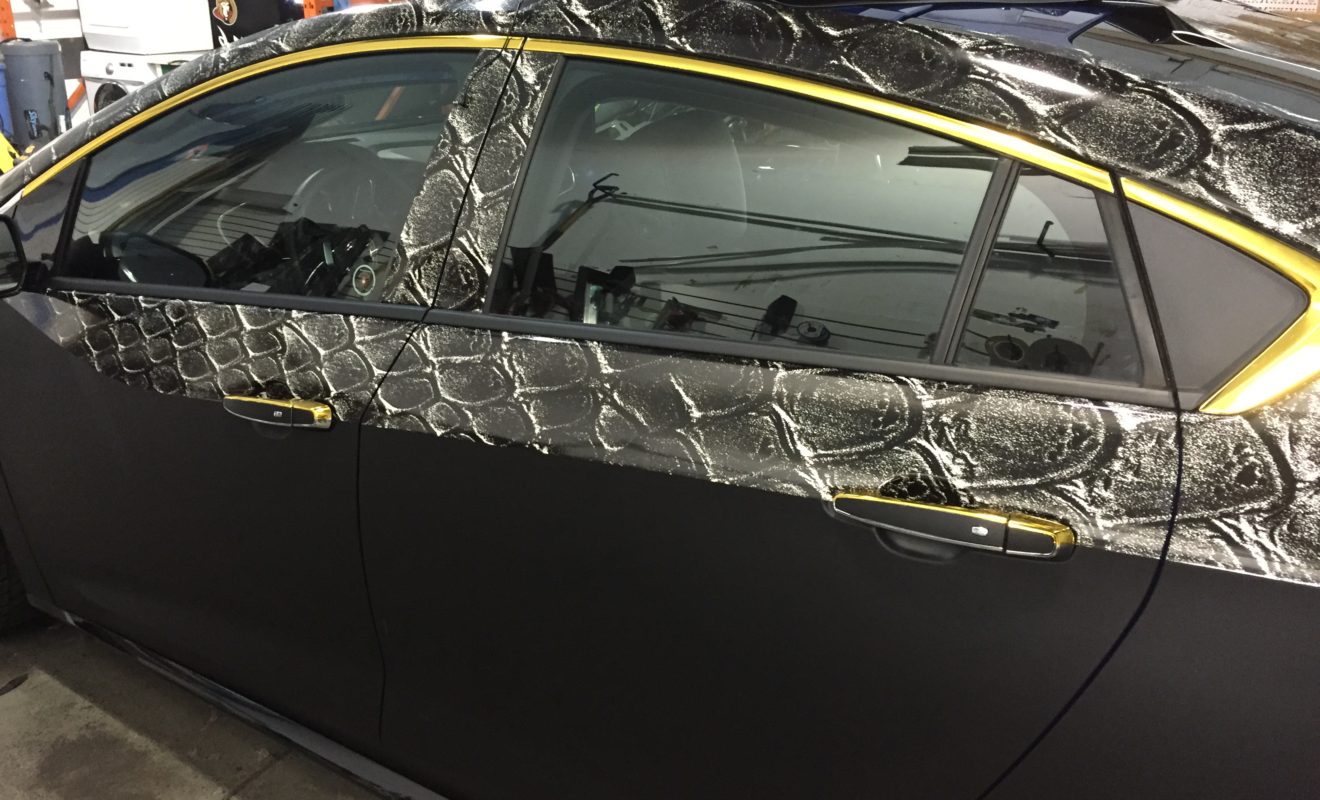 rays reptiles volt wrap 4