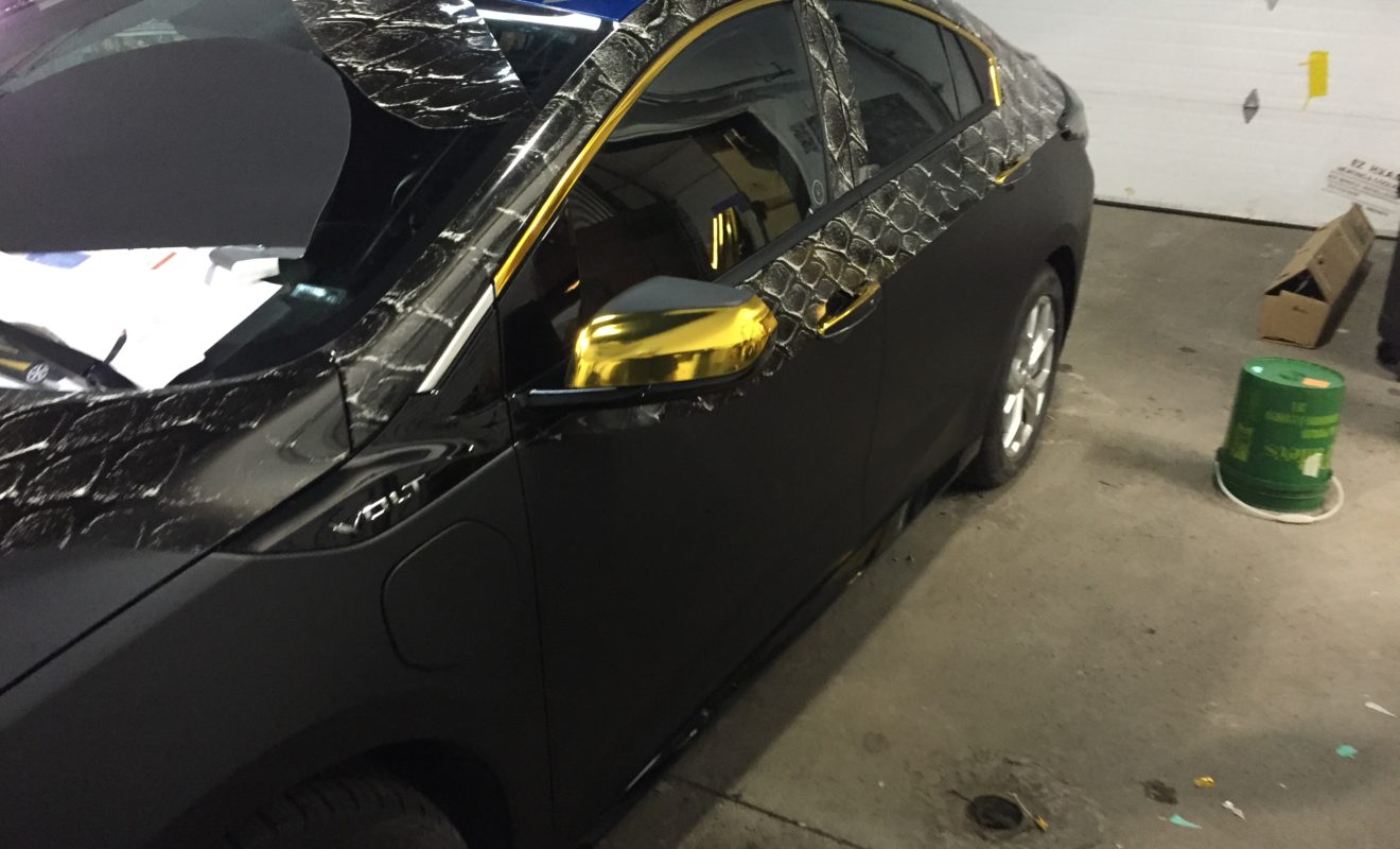 rays reptiles volt wrap 5