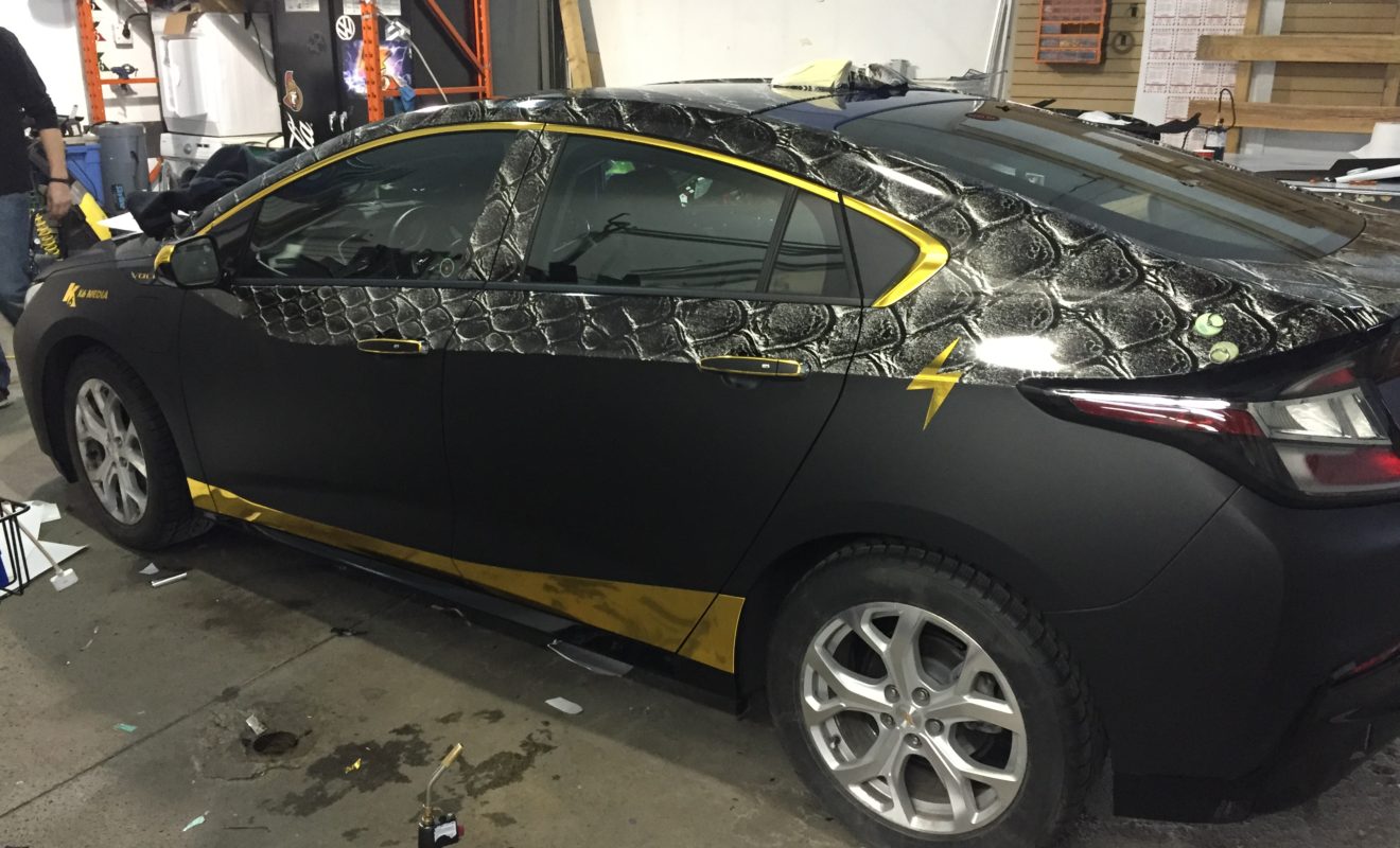 rays reptiles volt wrap 6