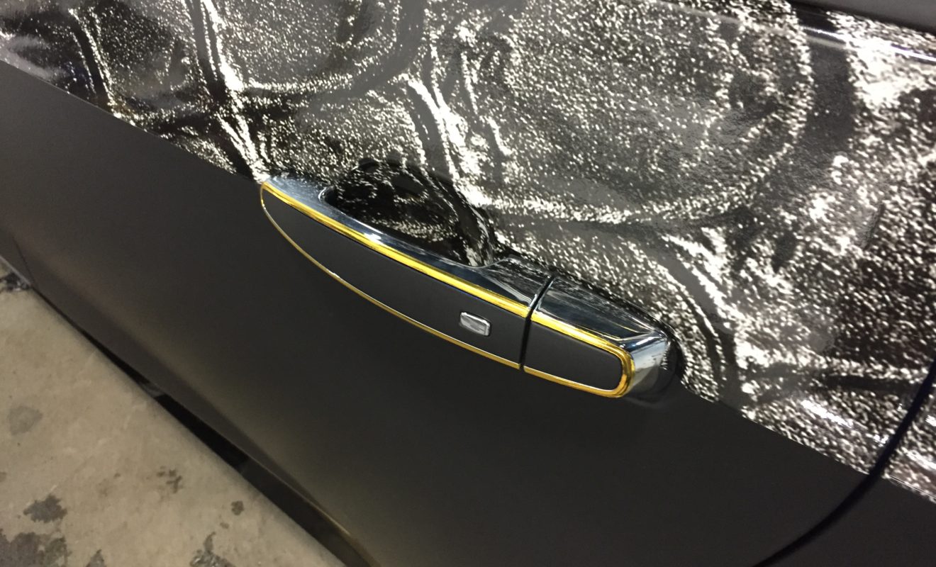 rays reptiles volt wrap 7